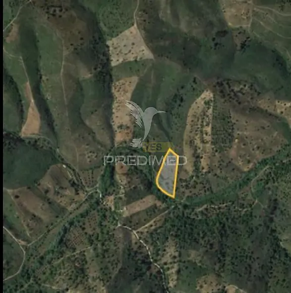 main-listing-picture-0