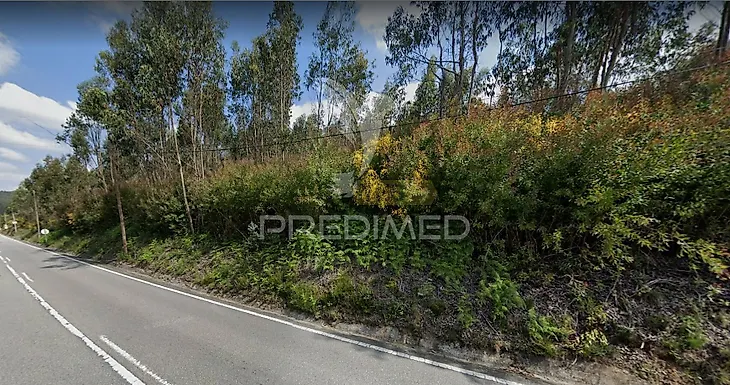 main-listing-picture-0