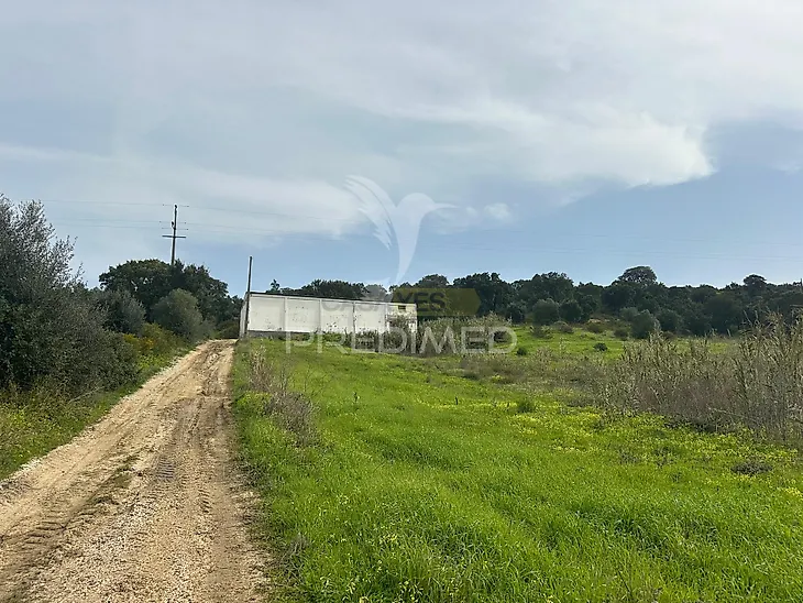 main-listing-picture-0