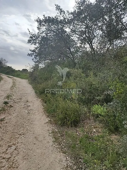 main-listing-picture-0