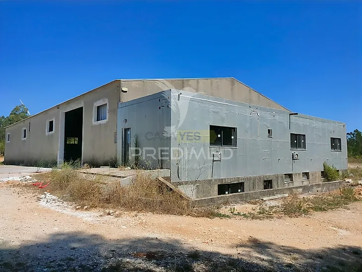 main-listing-picture-0