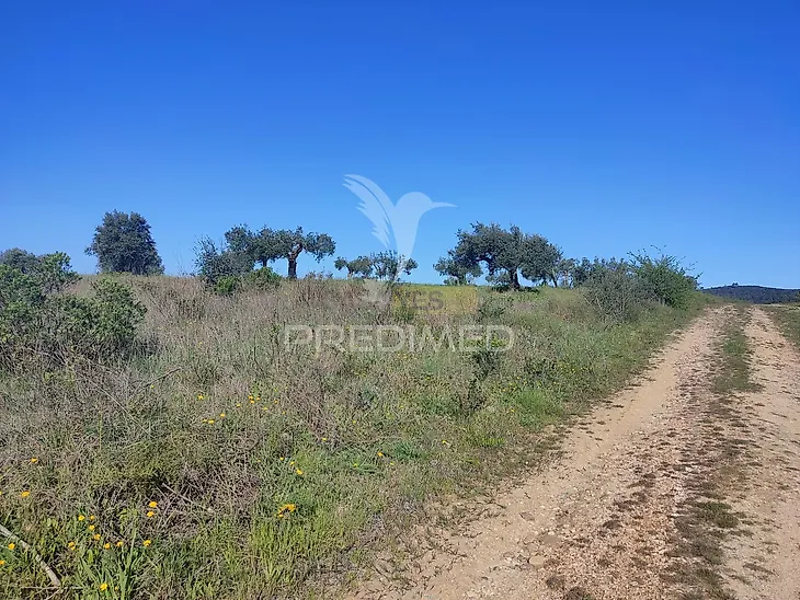main-listing-picture-0