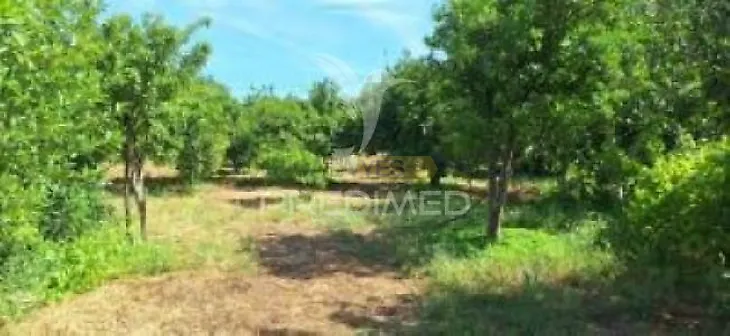 main-listing-picture-0