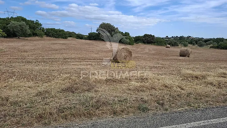 main-listing-picture-0