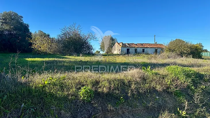 main-listing-picture-0