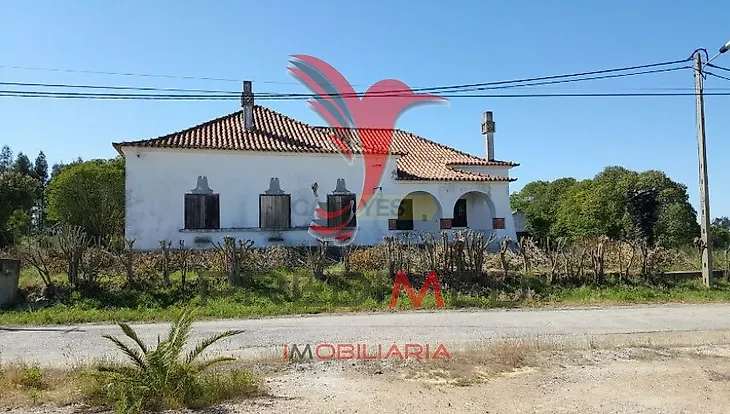 main-listing-picture-0
