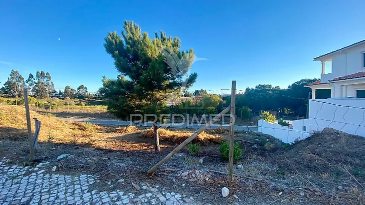 main-listing-picture-0