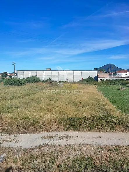 main-listing-picture-0