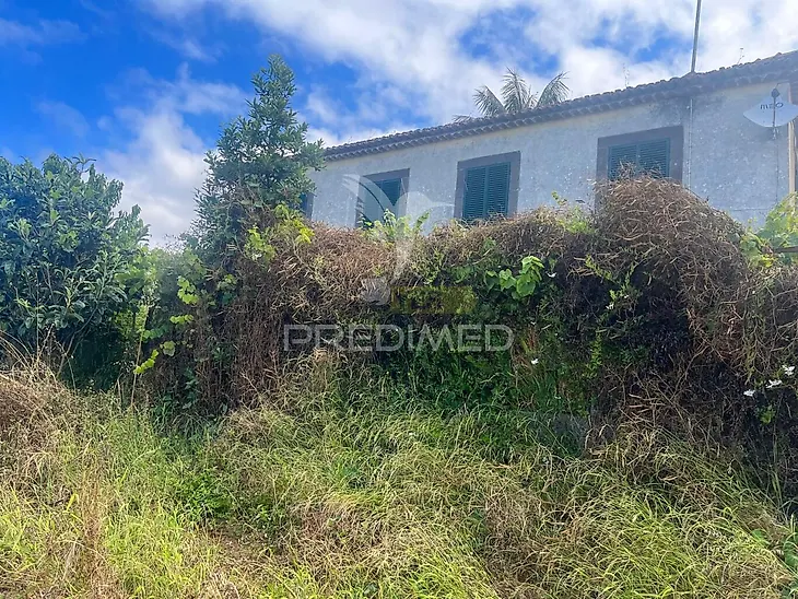 main-listing-picture-0