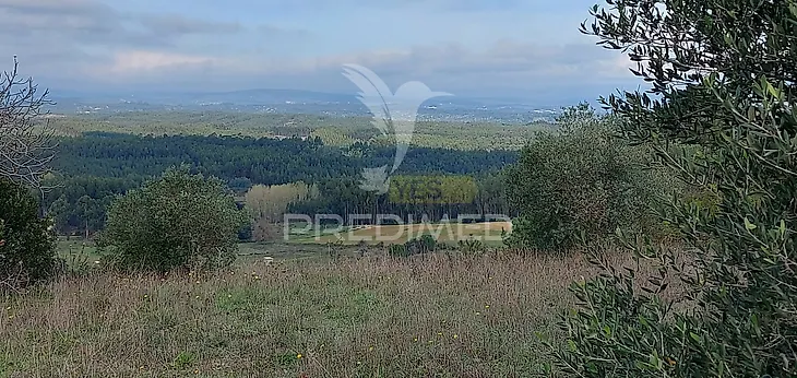 main-listing-picture-0