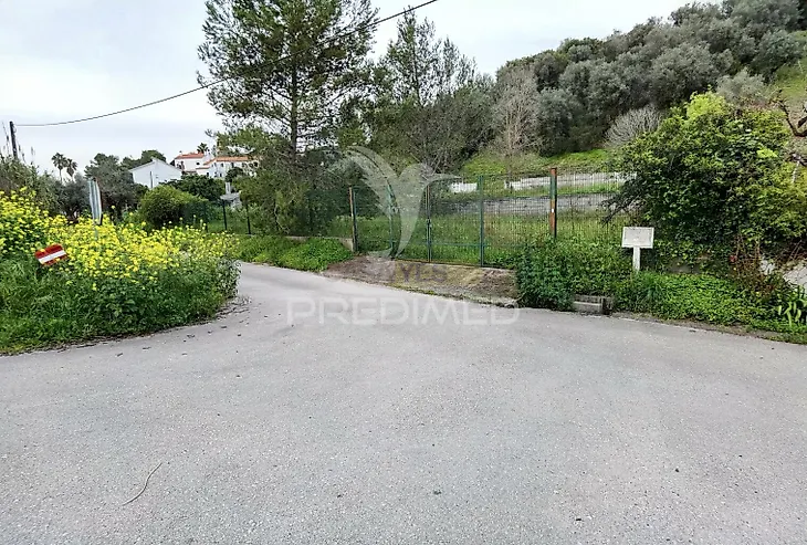 main-listing-picture-0