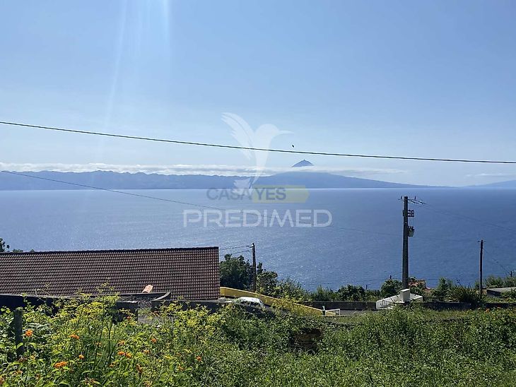 main-listing-picture-0