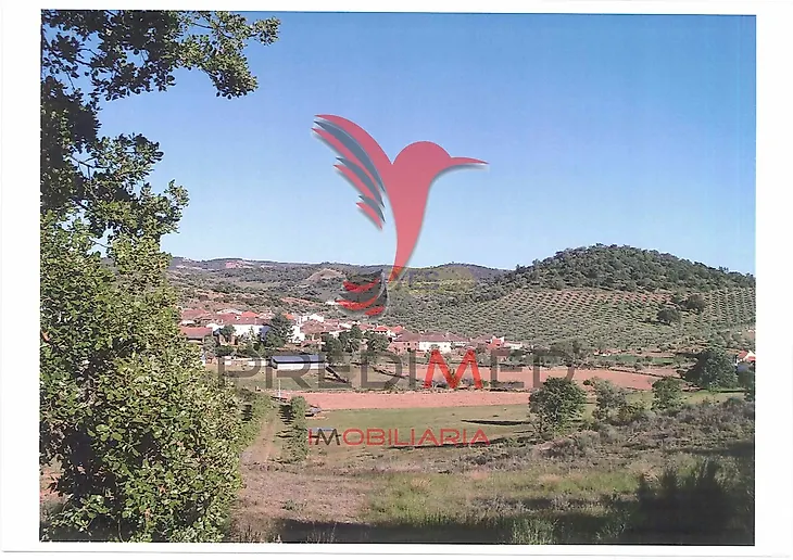 main-listing-picture-0