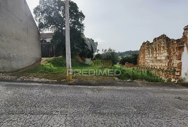 main-listing-picture-0