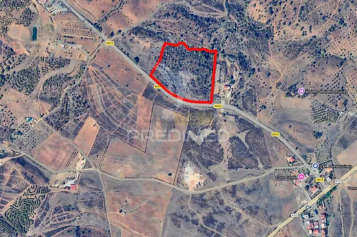 main-listing-picture-0