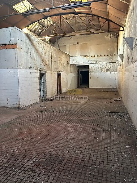 main-listing-picture-0