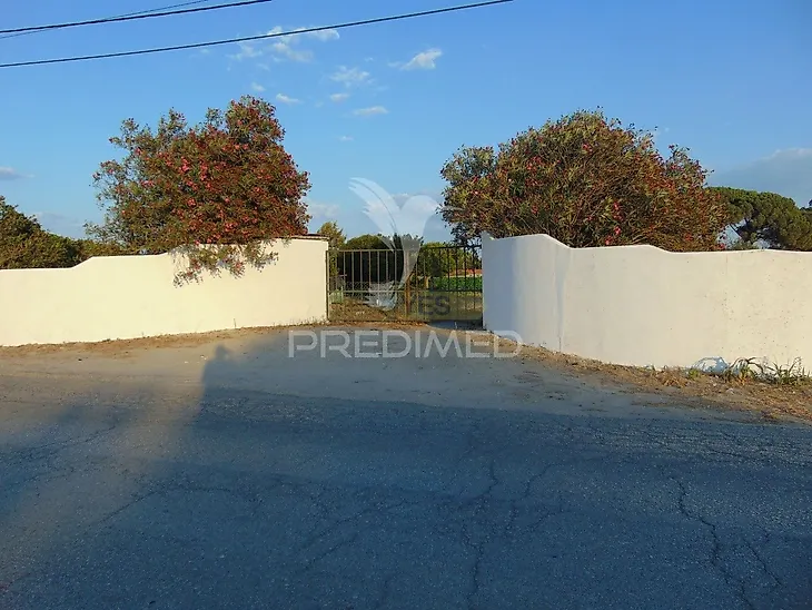 main-listing-picture-0