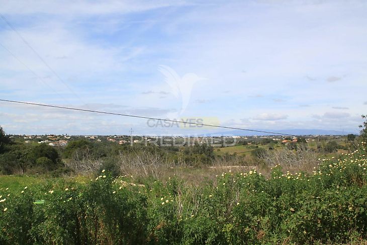 main-listing-picture-0