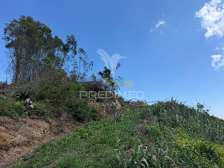 main-listing-picture-0