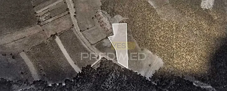 main-listing-picture-0