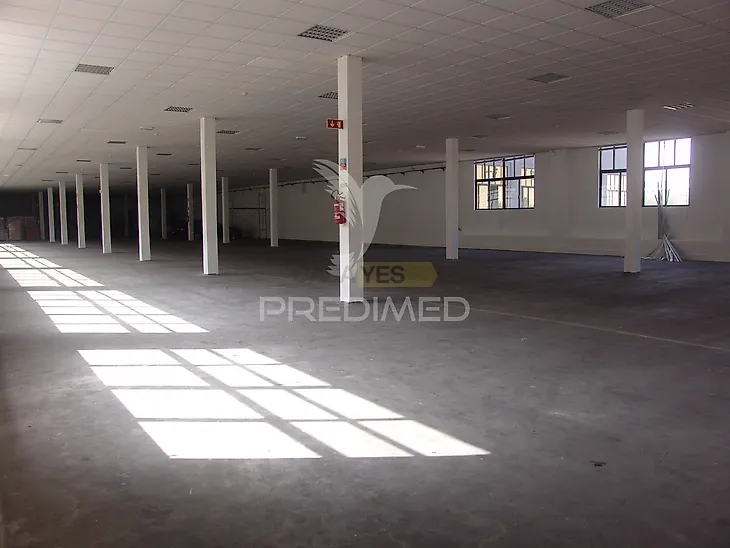 main-listing-picture-0