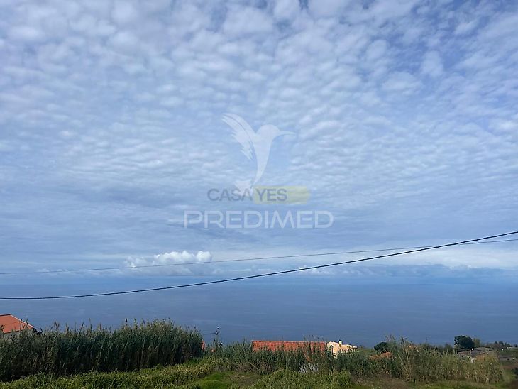 main-listing-picture-0