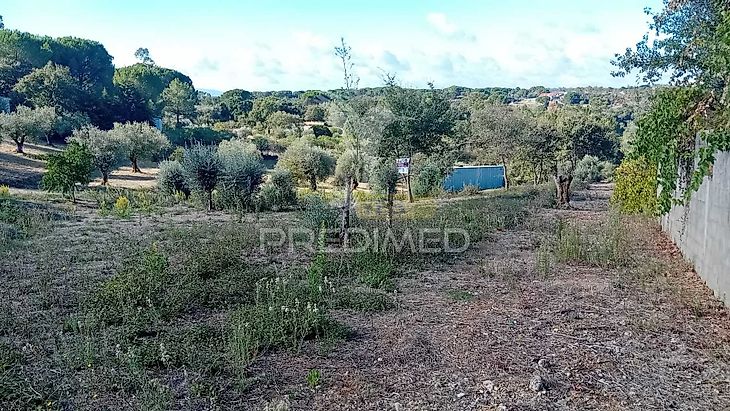 main-listing-picture-0