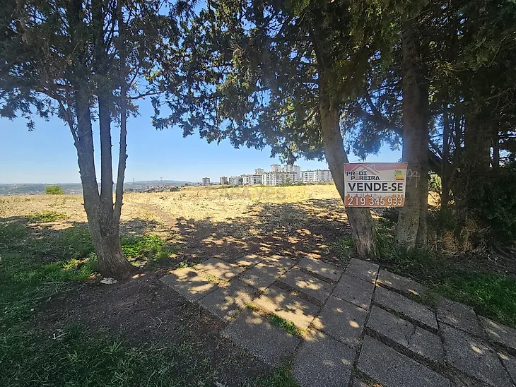main-listing-picture-0
