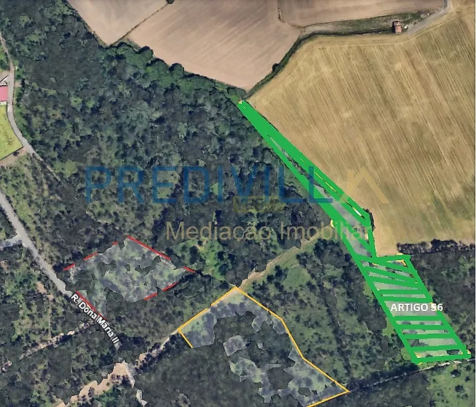 main-listing-picture-0