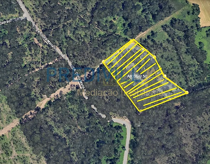 main-listing-picture-0