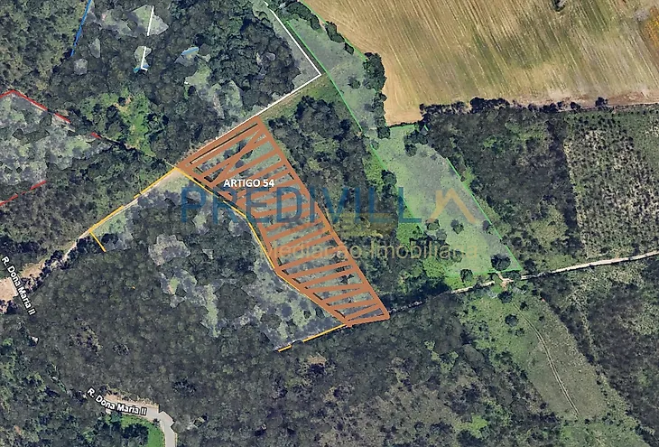 main-listing-picture-0