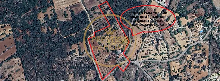 main-listing-picture-0