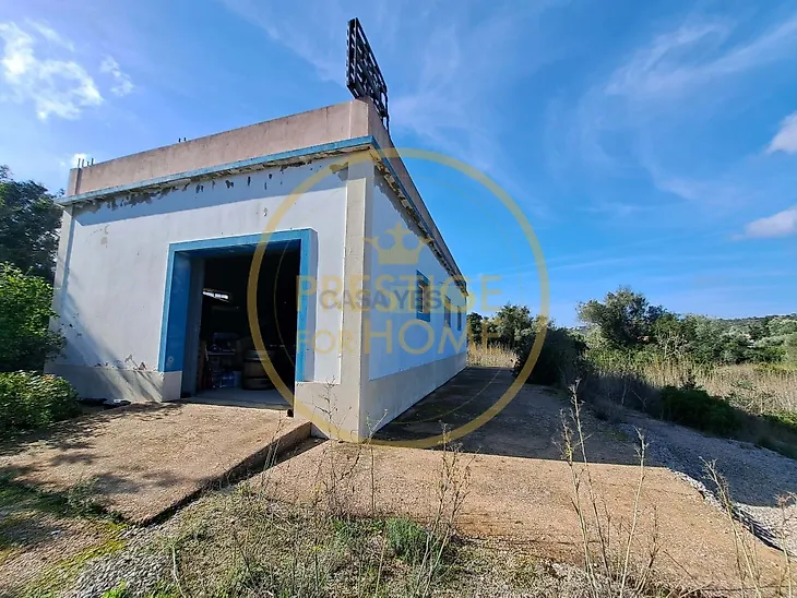 main-listing-picture-0