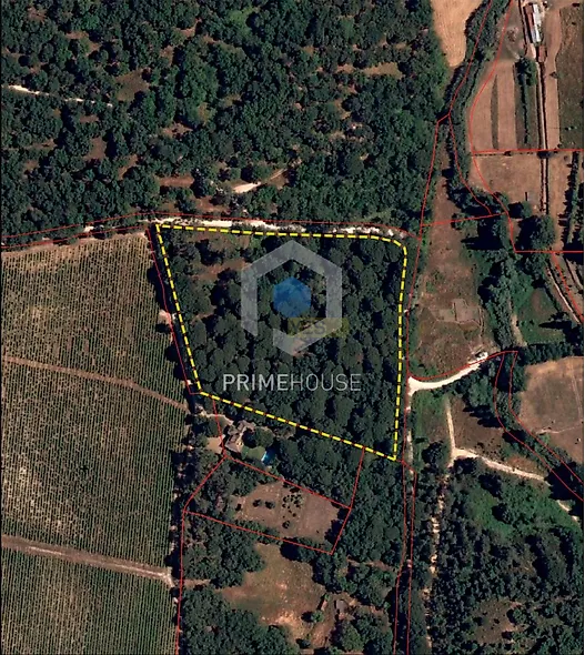 main-listing-picture-0