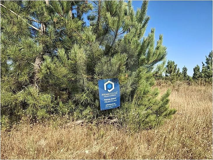 main-listing-picture-0