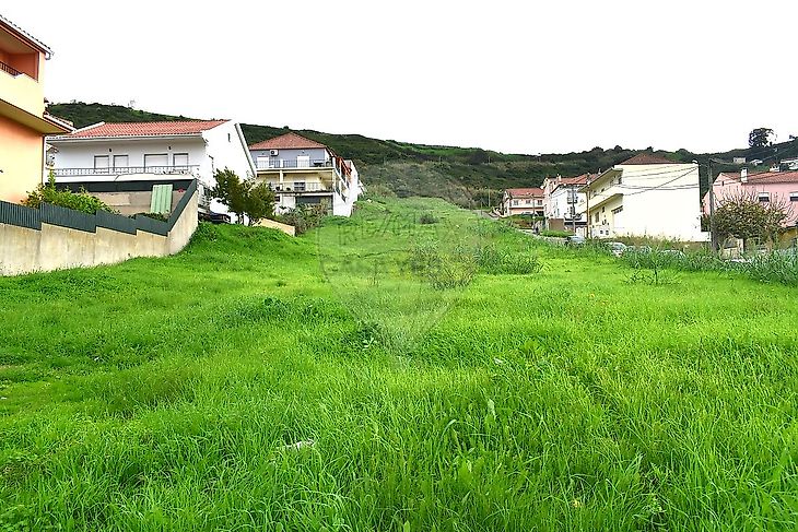 main-listing-picture-0