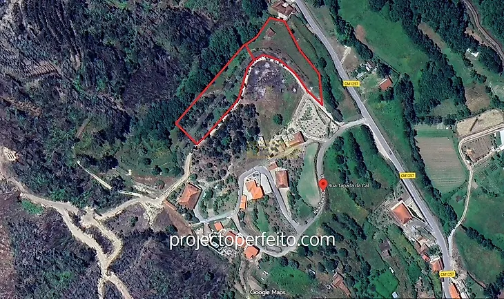 main-listing-picture-0