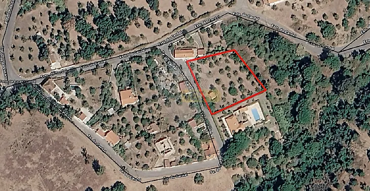 main-listing-picture-0