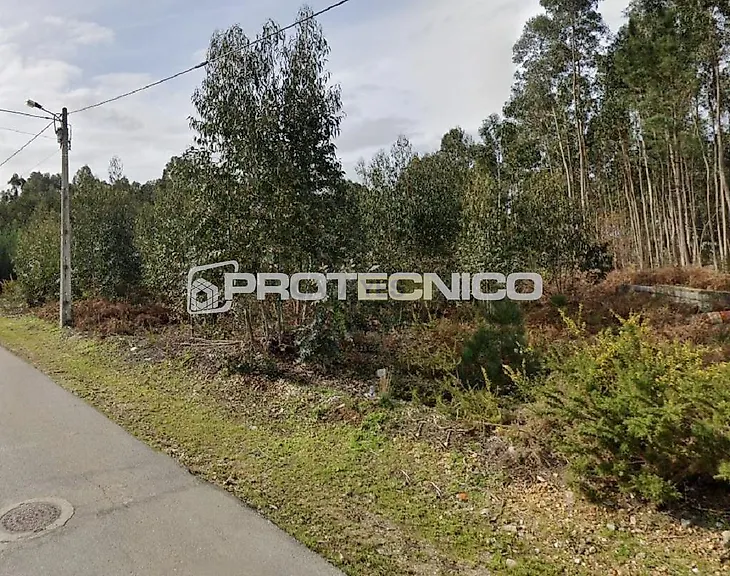 main-listing-picture-0