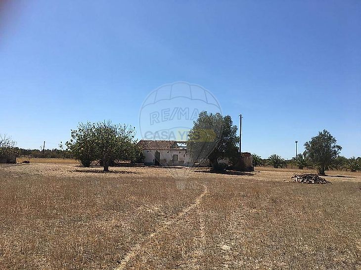 main-listing-picture-0