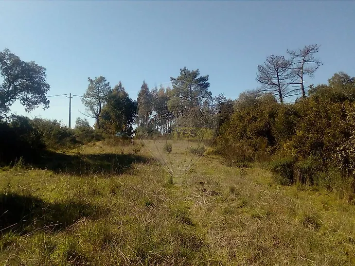 main-listing-picture-0