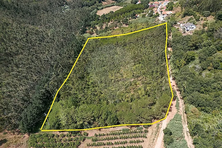 main-listing-picture-0