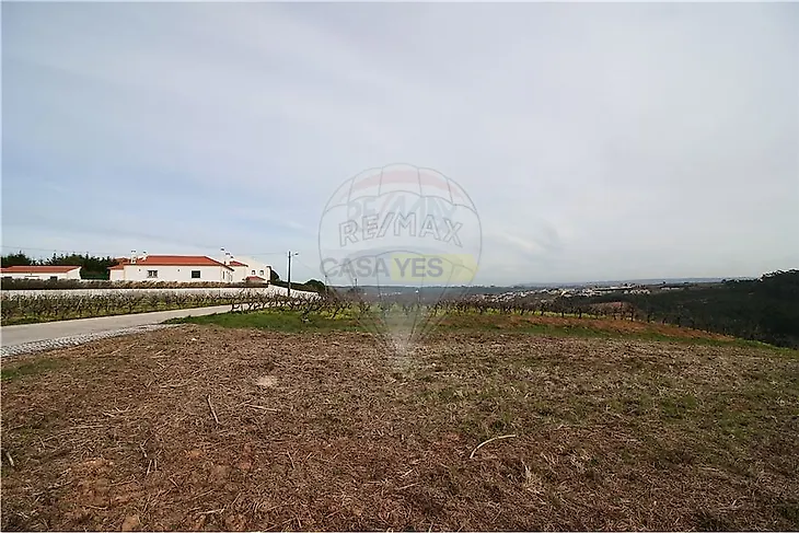 main-listing-picture-0