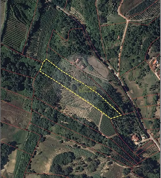 main-listing-picture-0