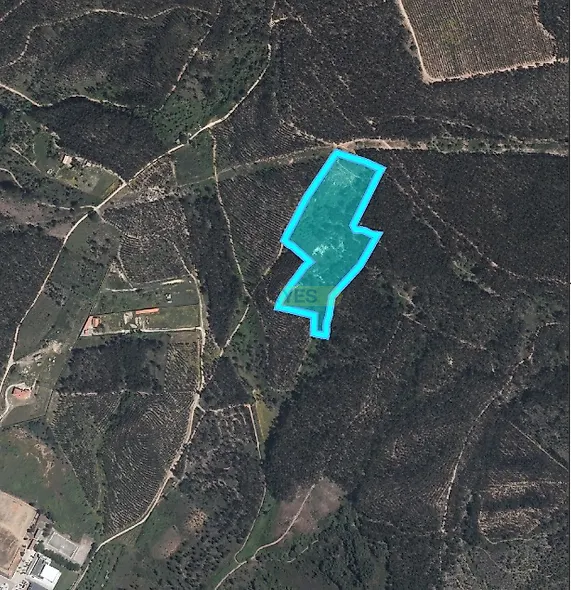 main-listing-picture-0