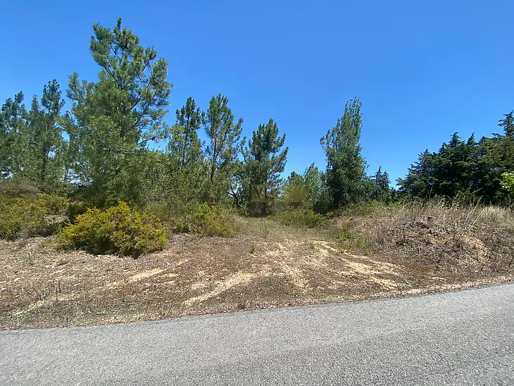 main-listing-picture-0