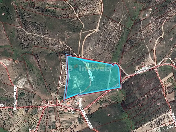 main-listing-picture-0