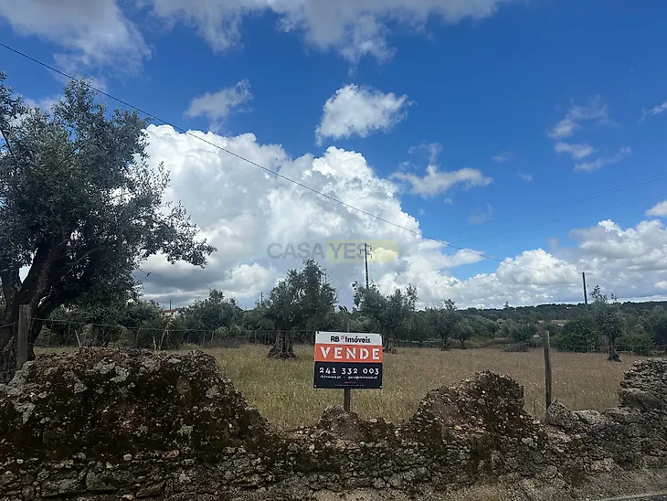 main-listing-picture-0