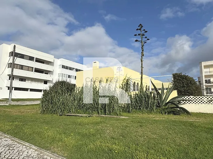 main-listing-picture-0