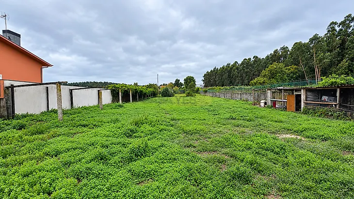 main-listing-picture-0